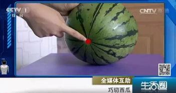 生活圈吃瓜视频,吃瓜视频背后的真实故事