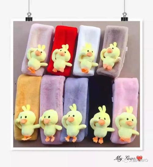 网红鸭一猫,萌宠界的明星组合