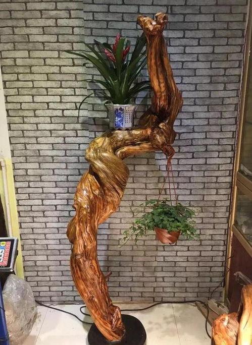 今日头条木头怪,揭秘神秘生物的奇幻世界