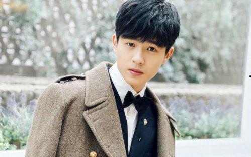 什么梁男明星,魅力四溢的影视界璀璨星辰