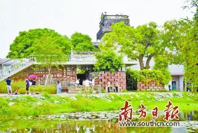 网红强亚村,网红乡村的崛起与魅力探索