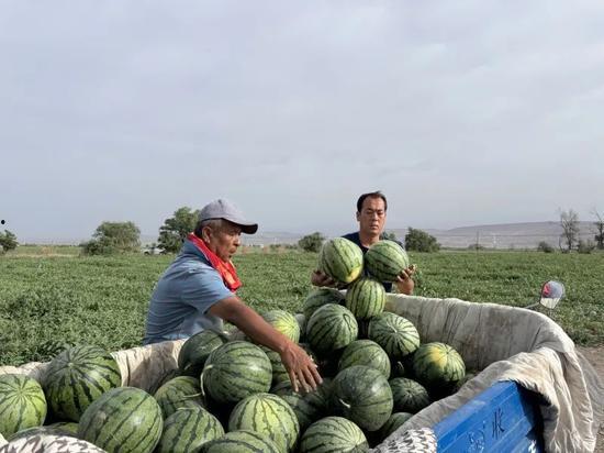 澄海在线吃瓜,揭秘网络吃瓜群众的狂欢盛宴