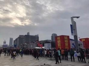 武汉新洲今头条新闻,聚焦新洲发展动态，共话区域新篇章