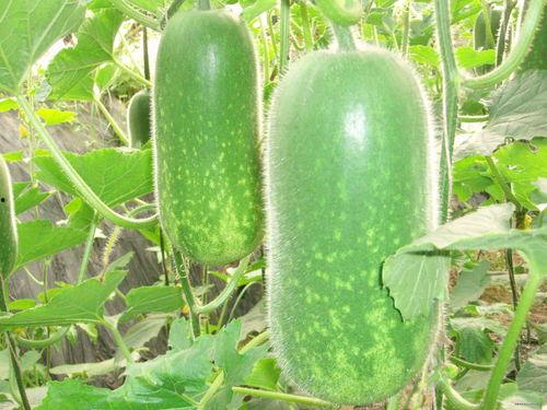 51吃瓜年度大瓜汇总,盘点娱乐圈年度最热话题