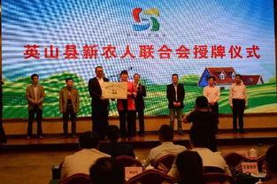 网红爆料平台推广视频,揭秘热门视频背后的秘密