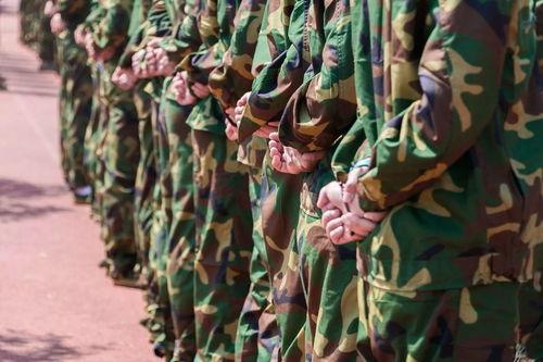 每日聪慧吃瓜军训热舞,军训热舞青春风采