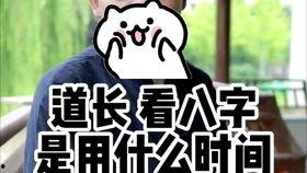 吃瓜小白炒股视频,揭秘吃瓜小白如何通过炒股视频实现财富增值