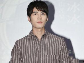 姓陈男明星图片,魅力四溢，星光熠熠