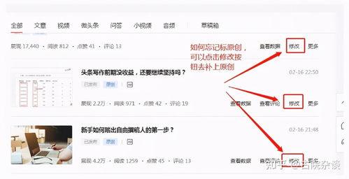 哪里看头条粉丝数量,头条粉丝数量背后的秘密与策略